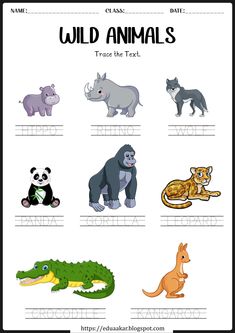 an animal worksheet with animals and their names