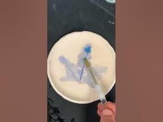 a person holding a white plate with blue designs on it and a paintbrush in their hand