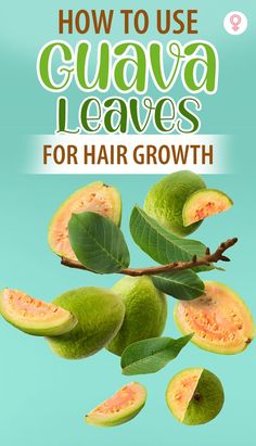 Using guava leaves on your hair can leave it feeling soft and looking lustrous and increase its volume, providing hair nourishment. #HairCare #HealthyHair #DIY Guava Leaves For Hair, Benefits Of Guava, Guava Benefits, Guava Leaves, Workout Diet Plan, Most Paused Movie Scenes, Latest Hair Trends, Belly Fat Burner Drink, For Hair Growth