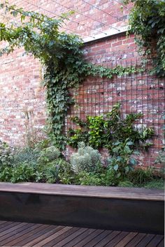 a wooden bench sitting next to a brick wall covered in vines and greenery on the side of a building