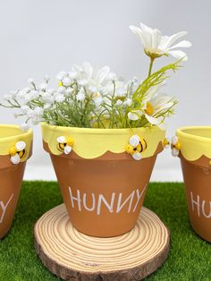 three flower pots with flowers in them sitting on the grass