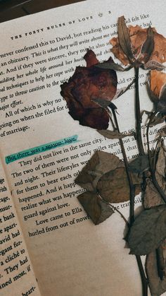 an open book with dried flowers on it