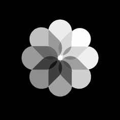 a black and white flower on a black background