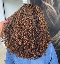 Natural Hair Highlights, Quick Natural Hair Styles, Braids Hairstyles Pictures, Colored Curly Hair, Caramel Hair