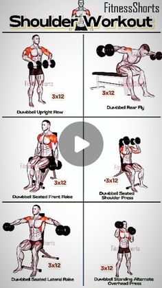 the shoulder workout chart shows how to do it