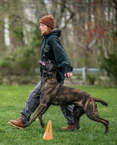 a man playing frisbee with his dog on the grass in front of an orange cone