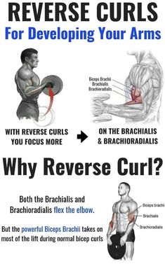 the reverse curls for developing your arms and shoulders are shown in this poster, which shows how