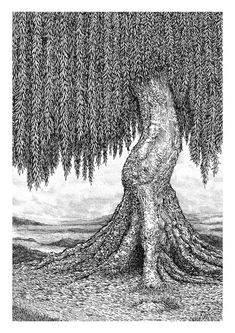 a drawing of a tree with its roots in the ground