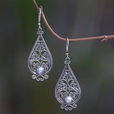 Shining tendrils form an intricate filigree lace. Crafted by hand these exquisite earrings from Komang Wijayana feature the glow of cultured pearls. Ornate Teardrop Jewelry With Intricate Design, Bohemian Teardrop Filigree Jewelry, Intricate Silver Dangle Pearl Earrings, Silver Intricate Dangle Pearl Earrings, Silver Dangle Pearl Earrings With Intricate Design, Silver Pearl Drop Earrings With Intricate Design, Bohemian Wedding Earrings With Intricate Design, Silver Filigree Drop Pearl Earrings, Silver Filigree Pearl Drop Earrings