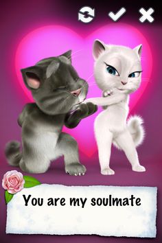 two cats standing next to each other in front of a heart with the caption you are my lady