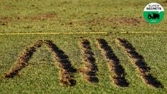 the word lawn written in brown dirt on top of green grass