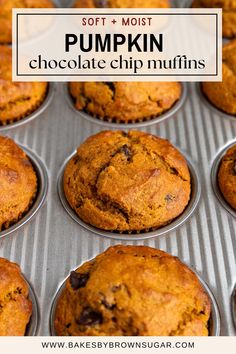 pumpkin chocolate chip muffins with text overlay