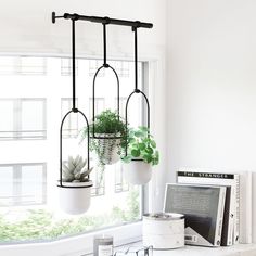 three hanging planters with succulents in them on a window sill