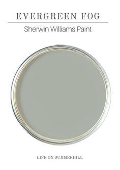 the book cover for evergreen fog by sheryln williams paint, with an image of a