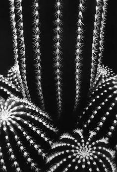 a black and white photo of fireworks in the night sky, with stars on them