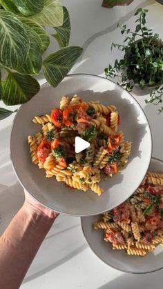 two plates of pasta with tomatoes and spinach on them, next to a plant