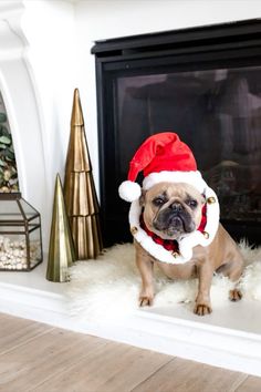 a pug dog wearing a santa hat sitting in front of a fireplace