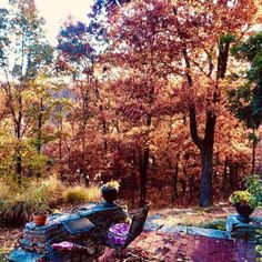 an outdoor table and chairs in the middle of a wooded area with lots of trees