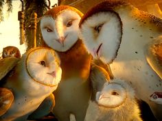 three owls are standing next to each other