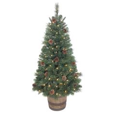 a potted christmas tree with pine cones and lights on it's top, in front of a white background