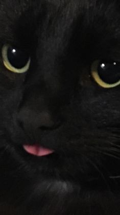 a close up of a black cat's face with yellow eyes and pink tongue