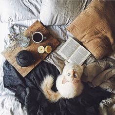 a cat laying on top of a bed next to an open book and cup of coffee