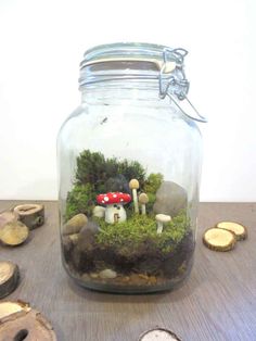 a jar filled with moss and mushrooms on top of a table