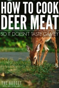 a deer eating grass with the words how to cook deer meat so it doesn't taste gamey