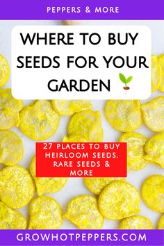 yellow flowers with the words where to buy seeds for your garden on top and below