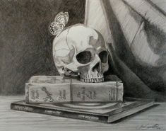 a pencil drawing of a skull and two books