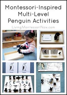 the montessori - inspired penguin level activities are great for toddlers to learn how to