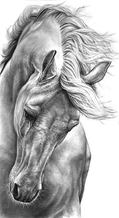 a drawing of two horses with their heads touching each other