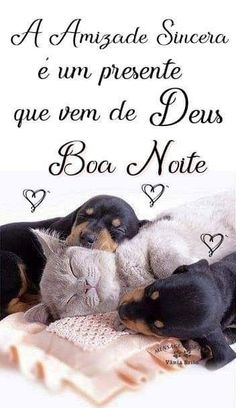 two dogs and a cat laying next to each other on a blanket with the caption in spanish