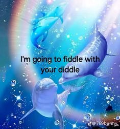 two dolphins are swimming in the water with bubbles around them and an inscription that says i'm going to fiddle with your diddlee