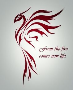 a red bird with the words from the fire comes new life