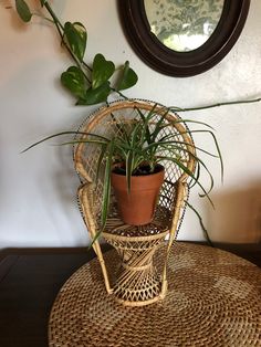 a potted plant sitting on top of a wicker chair next to a mirror