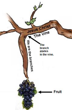 the cross is made up of branches and grapes, which are labeled in black letters