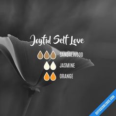 Self Love Diffuser Blend, Jasmine Essential Oil Blends Diffuser, Self Love Essential Oil Blend, Sandalwood Essential Oil Blends, Essential Oil Perfumes Recipes, Homemade Perfume, Doterra Diffuser Blends, Essential Oil Combinations