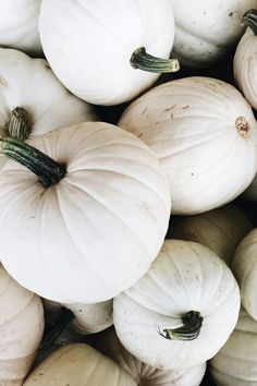 many white pumpkins are piled up together