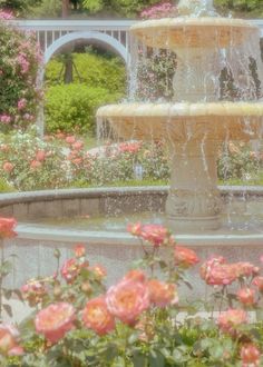 a water fountain surrounded by pink roses in a garden