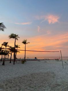 a volleyball net on the beach with palm trees in the foreground and a sunset behind it