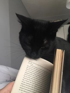 a black cat sitting on top of a bed next to an open book