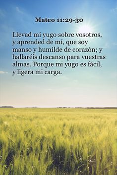 ▷ 100+ Imágenes Cristianas de Mateo 11:29 Favorite Scriptures, The Perfect Guy, Jesus Quotes, The Words