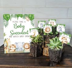 there is a baby announcement with plants and pictures on the table in front of it