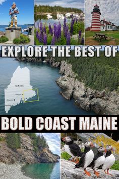 there are many different pictures with the words explore the best of bold coast maine