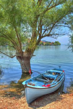 there is a boat that is sitting on the shore next to a tree and water