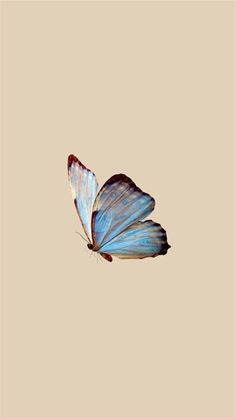 a blue butterfly flying through the air