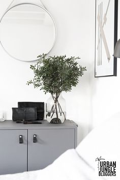 a plant in a vase on top of a dresser next to a mirror and lamp