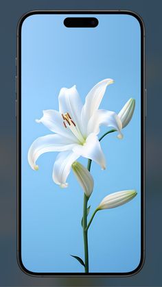 an image of a white flower on a cell phone with blue sky in the background