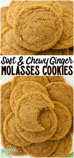 soft and chewy ginger molasses cookies on a plate with the title above it